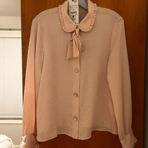 Zara Pale Pink Ruffle Collar Blouse